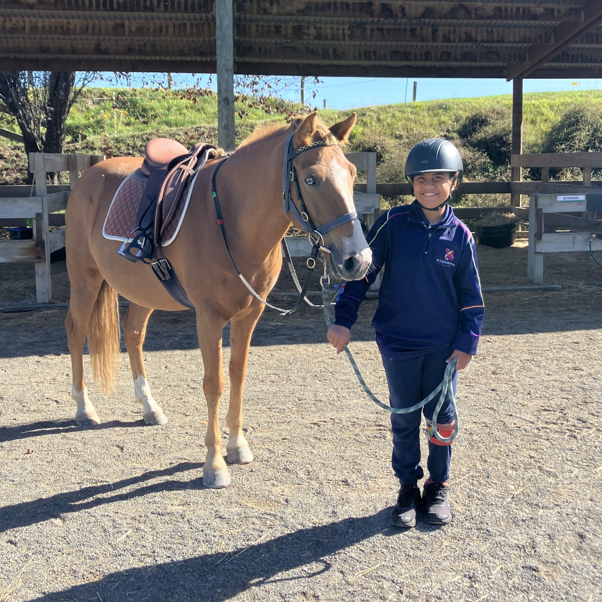 Riding for the Disabled - Nelson