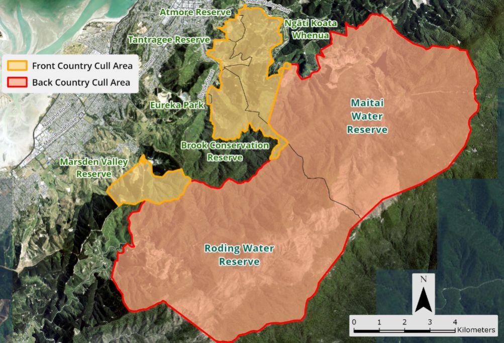 Maitai Conservation Reserves