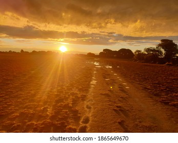 Wakapuaka Reserve Sand Flats