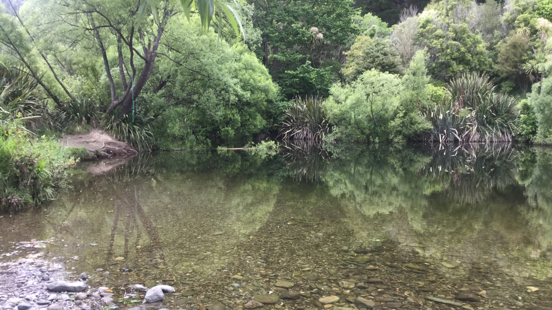 Maitai River - Black