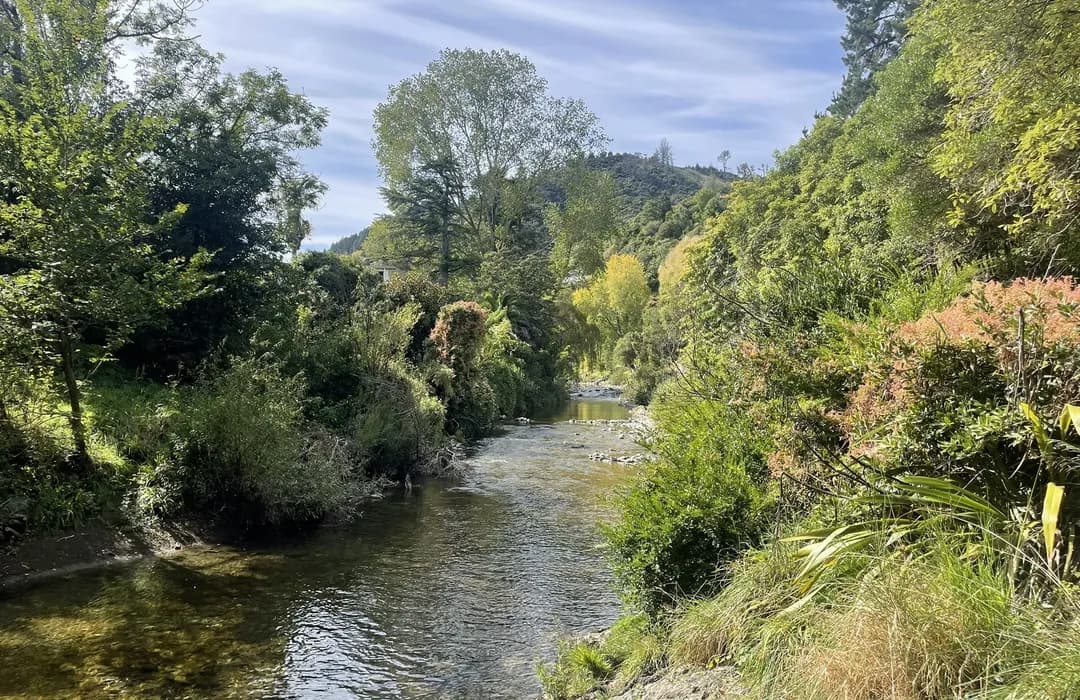 Maitai River - Denne's