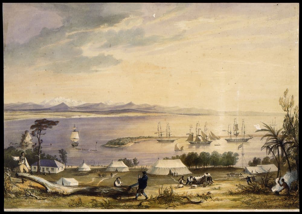 Nelson Haven