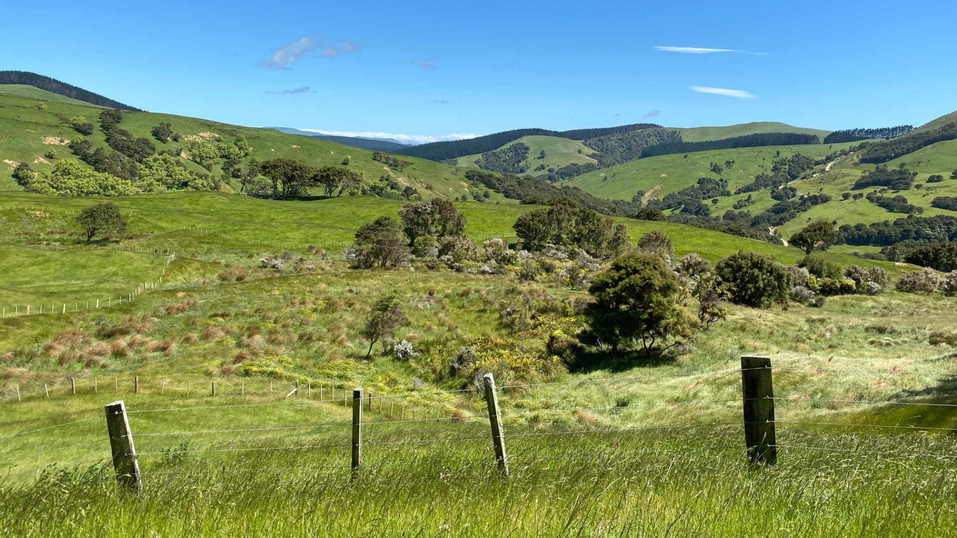 Tosswill Reserve