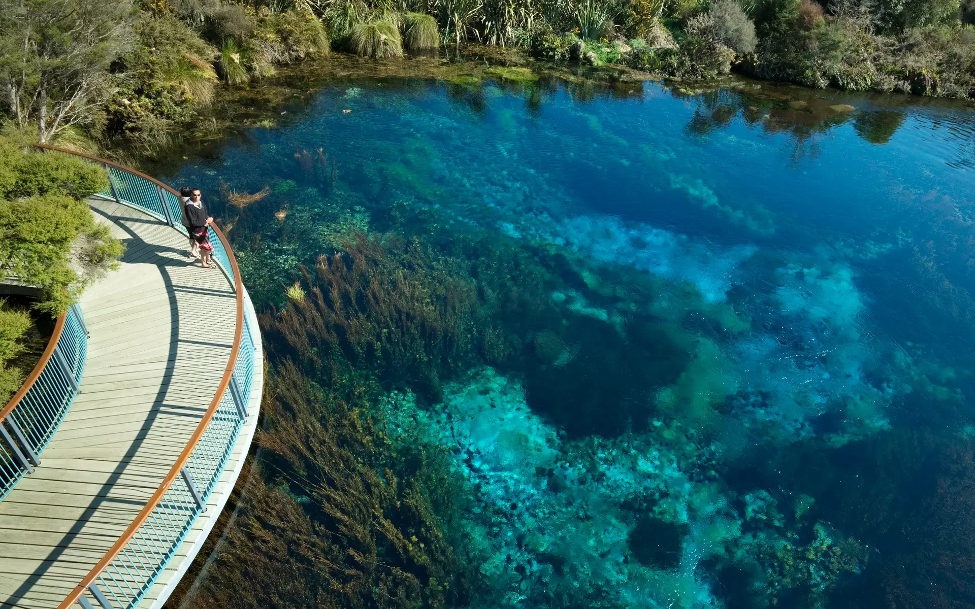 Te Waikoropupū Springs