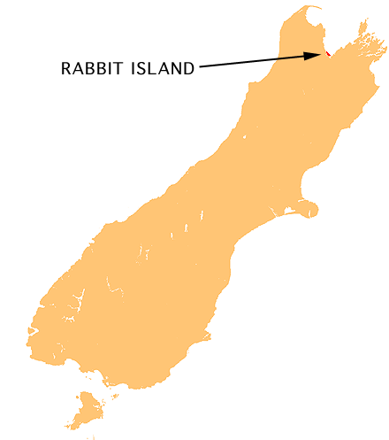 Rabbit Island
