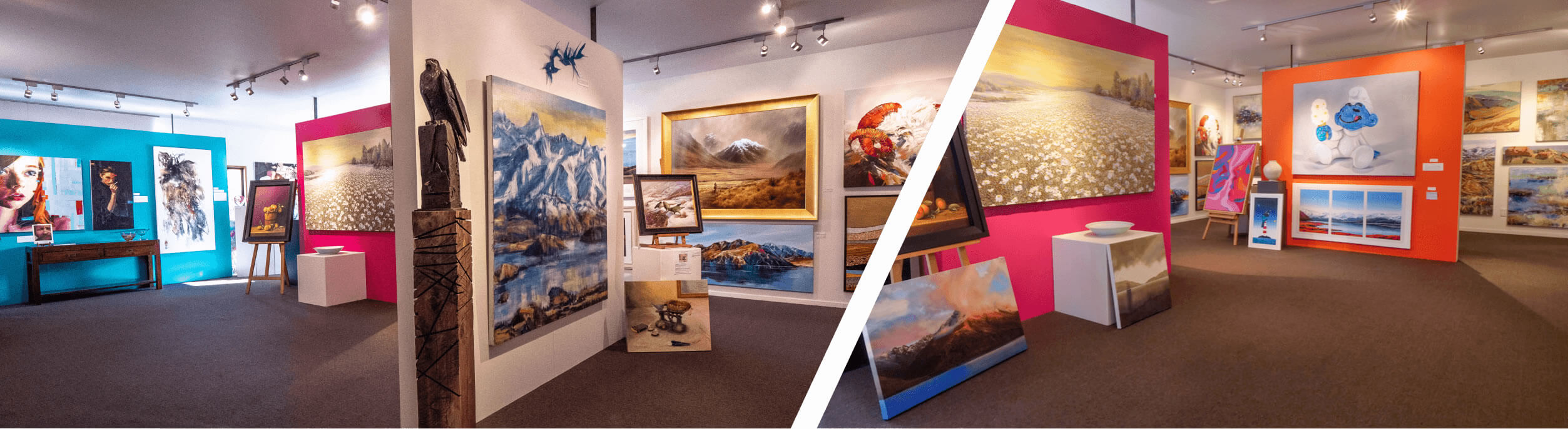 Wānaka Arts Exhibition