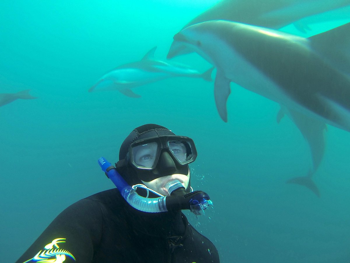 Dive Kaikoura